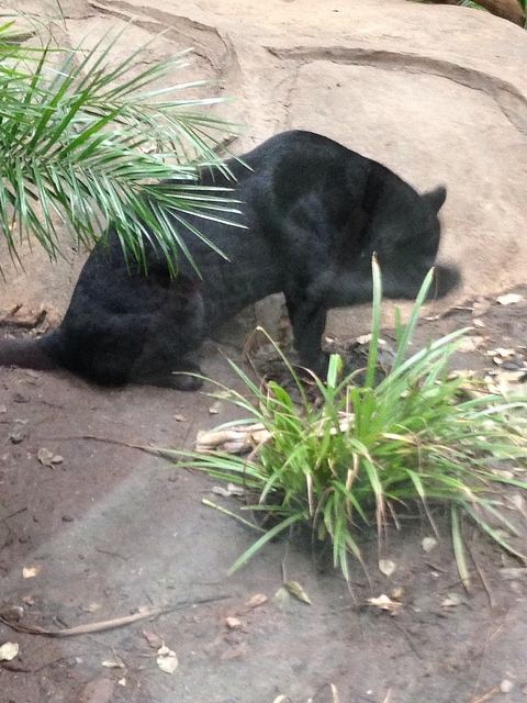 12880831723_aa2e525c39_z