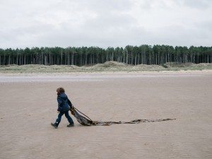 Mini Travellers - Newborough Beach, Anglesey Mini Travellers - Newborough Beach, Anglesey