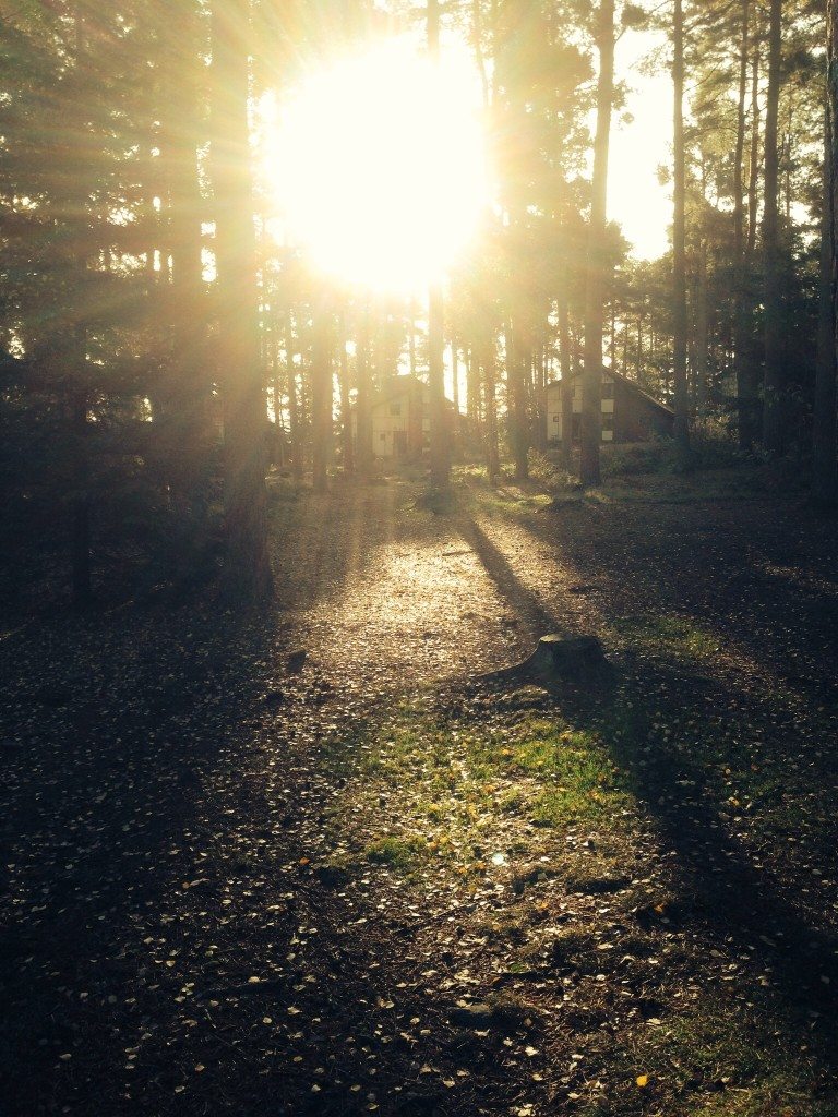 Center Parcs - Winter Wonderland