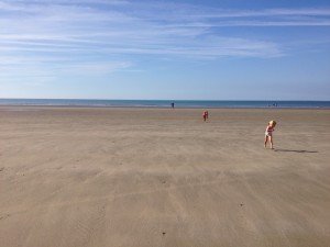 IMG_8271