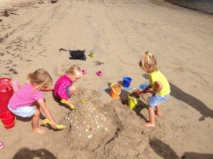 IMG_8181