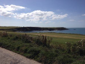 IMG_8210