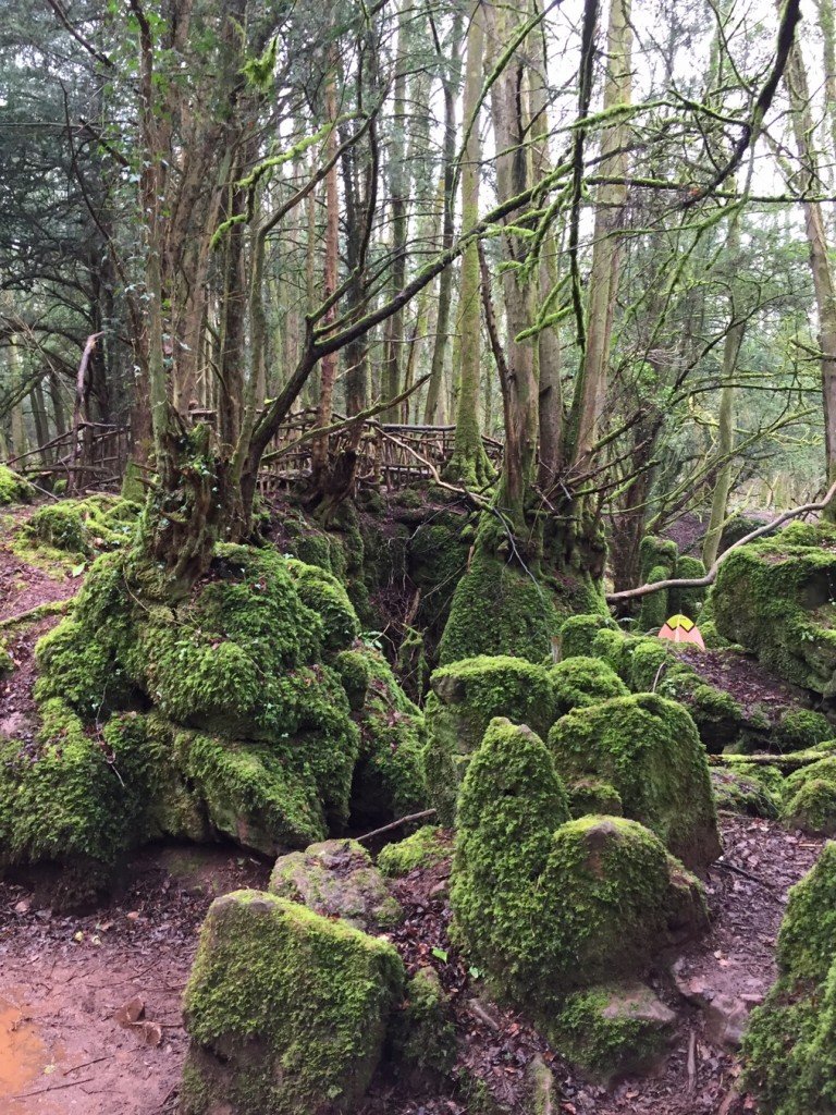 Star Wars is Filmed at Puzzlewood www.minitravellers.co.uk Star Wars is Filmed at Puzzlewood www.minitravellers.co.uk