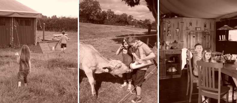 Featherdown Farm