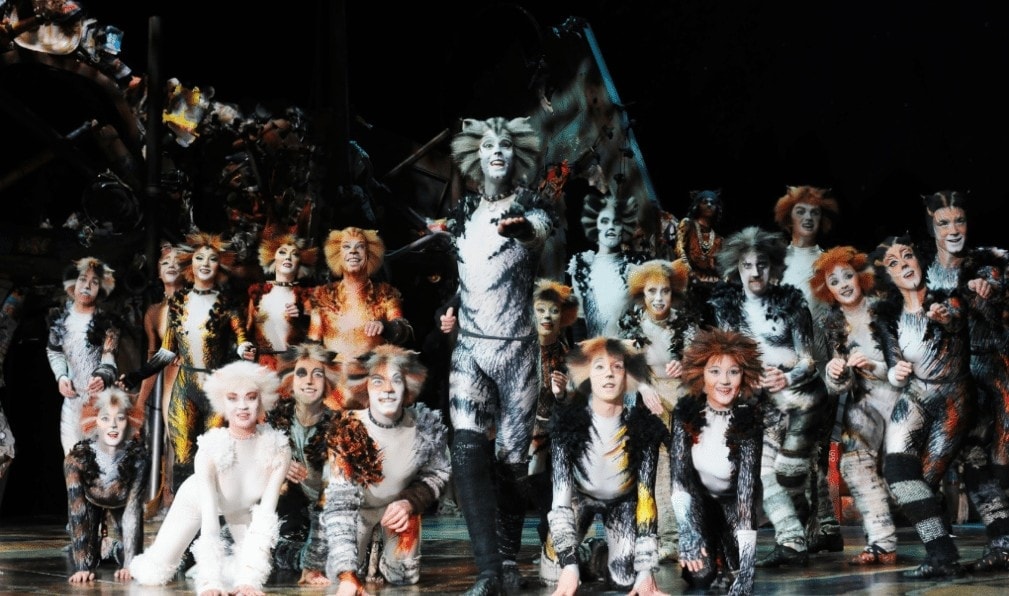 Cats The Musical
