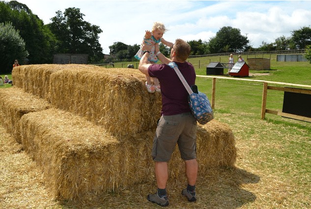 A Day out at Jimmy's Farm Park