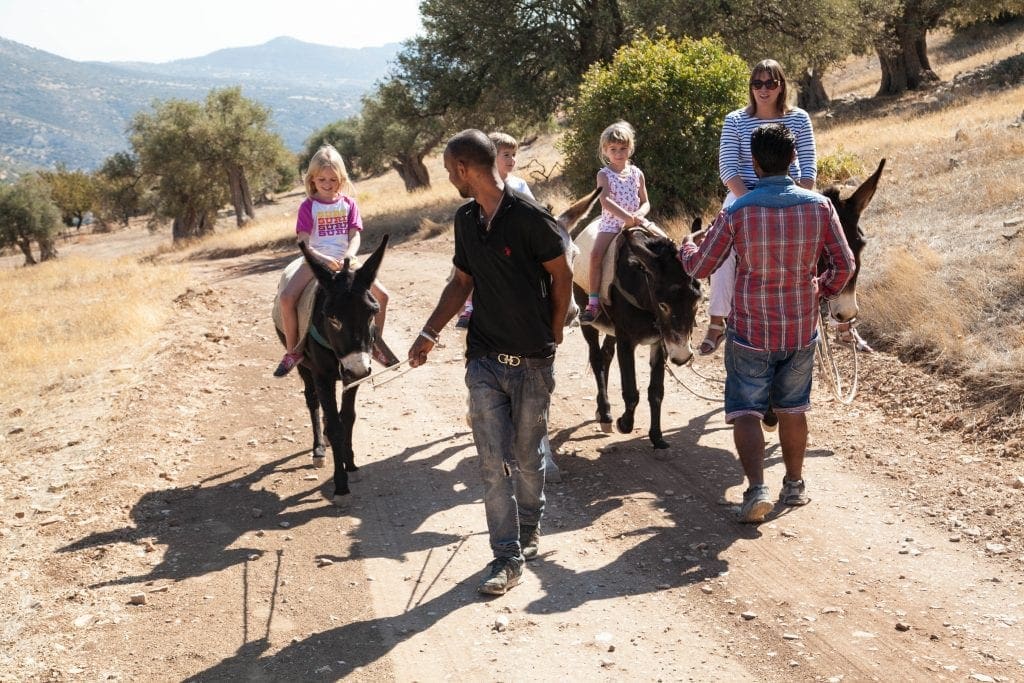 Donkey Safari at Apesia Hills Donkey Sanctuary Limassol Cyprus www.minitravellers.co.uk