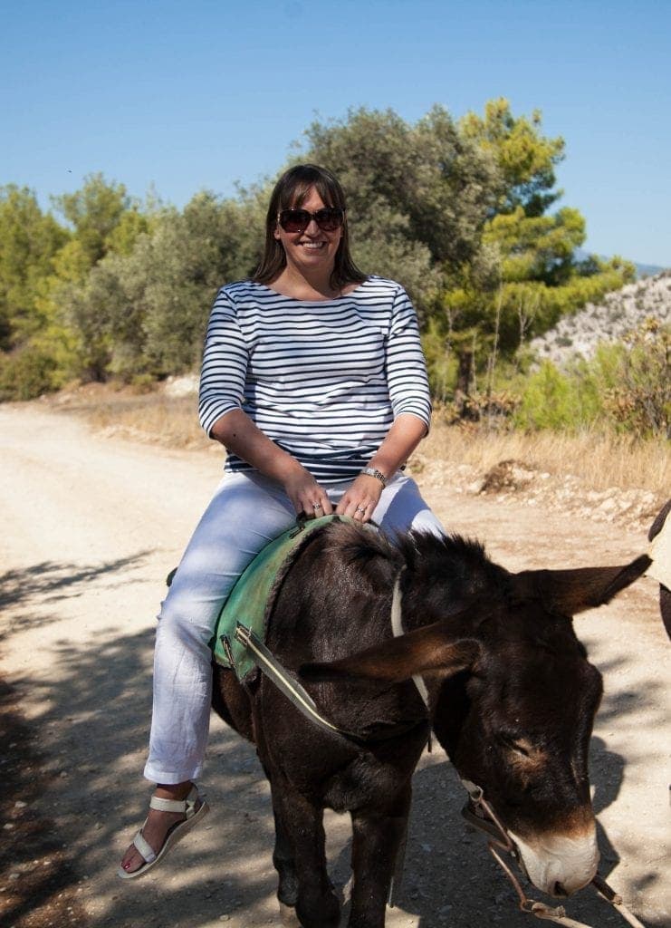 Apesia Hills Donkey Sanctuary Limassol Cyprus www.minitravellers.co.uk