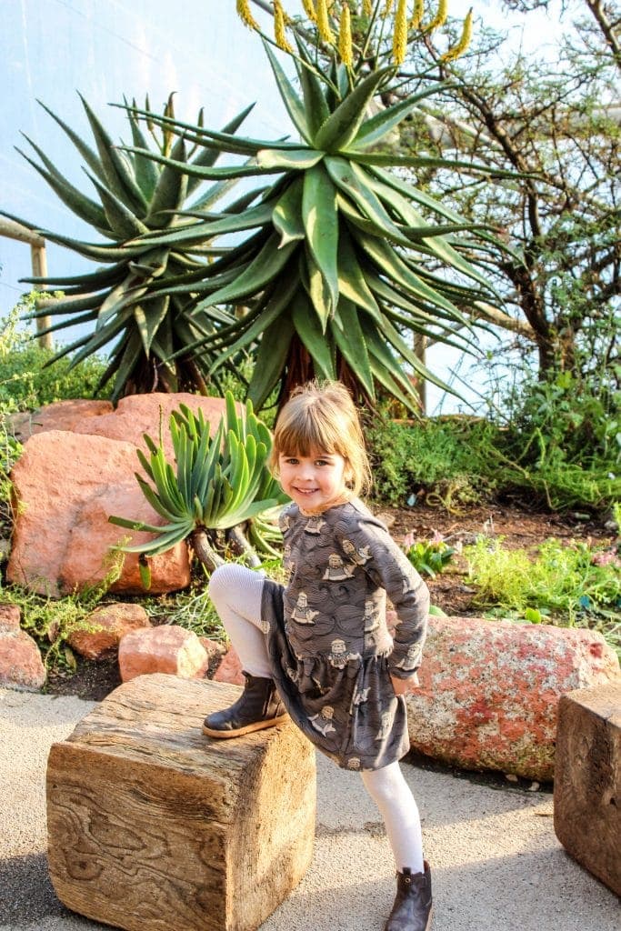 Should you visit the Eden Project Cornwall with kids under 8? www.minitravellers.co.uk