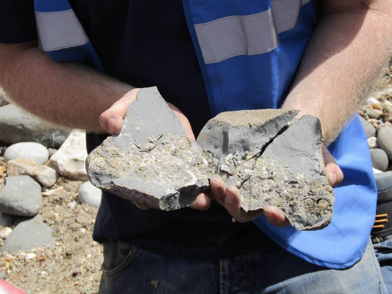 Fossil Hunting on Charmouth Beach www.minitravellers.co.uk