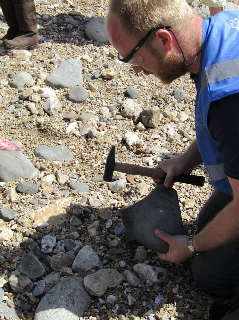 Fossil Hunting on Charmouth Beach www.minitravellers.co.uk