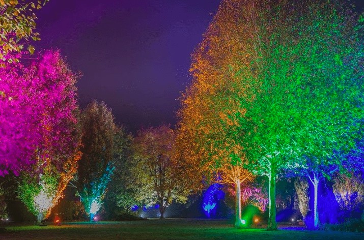 Christmas at Harlow Carr | Glow Winter Illuminations www.minitravellers.co.uk