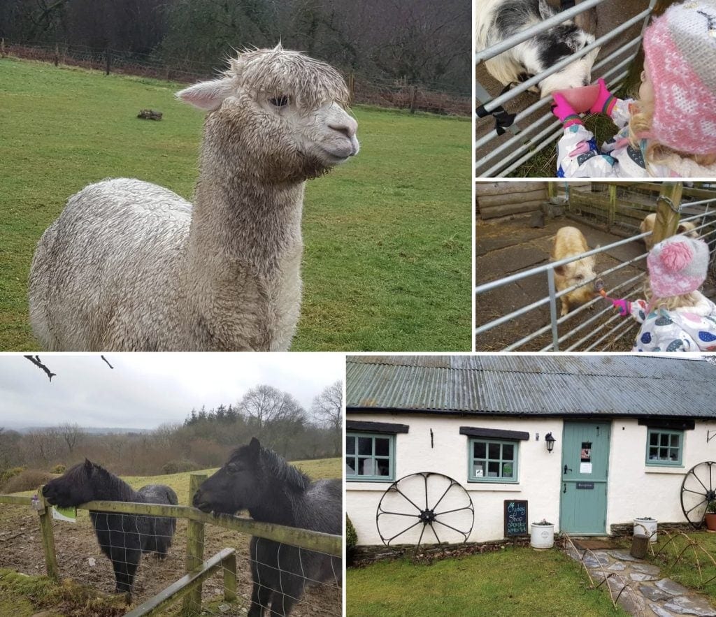 Clydey Cottages would make a great Family Friendly Alternative to Center Parcs