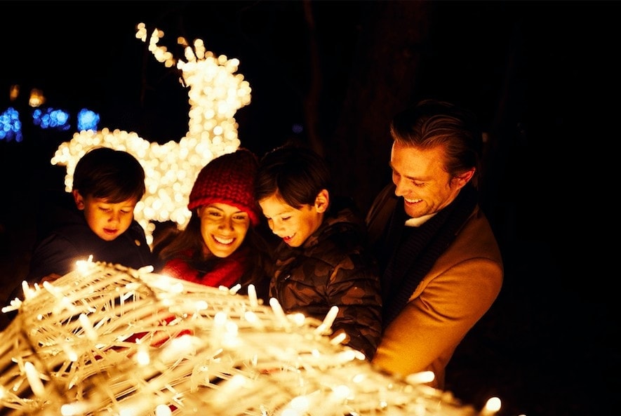 Enjoying festive lights, part of my tips on Winter activity ideas for families