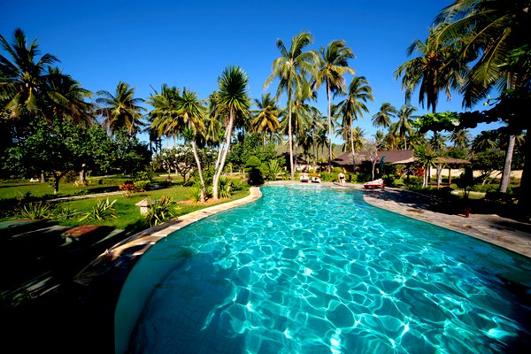 View of luxury hotel in Florida with palm trees and swimming pool.