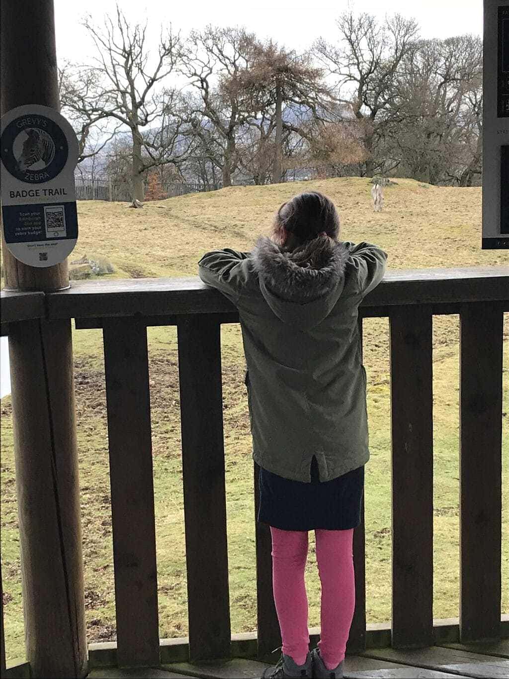 Mini Travellers A-Z of Edinburgh Zoo | Tips & Tricks