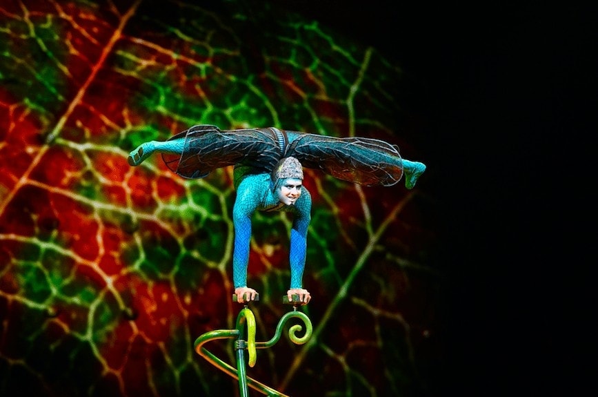 Cirque du Soleil Ovo Review