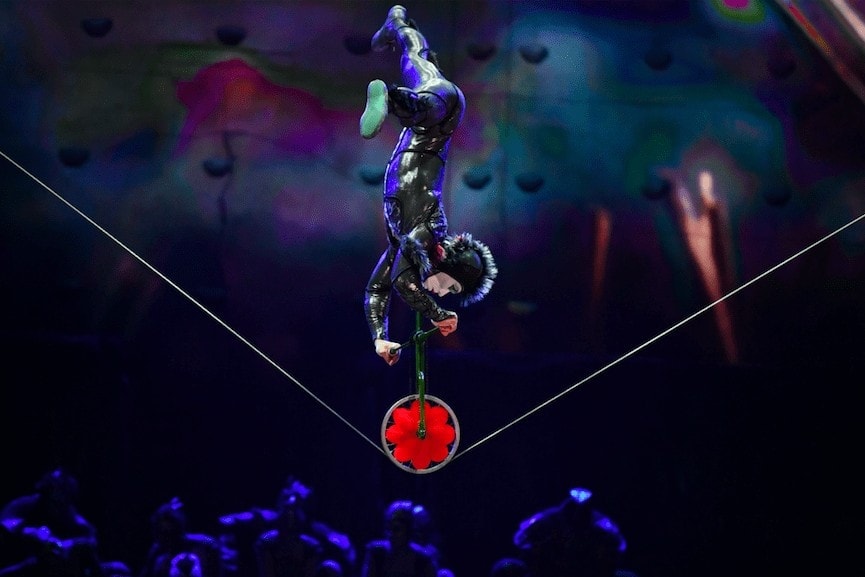 Cirque du Soleil Ovo Review