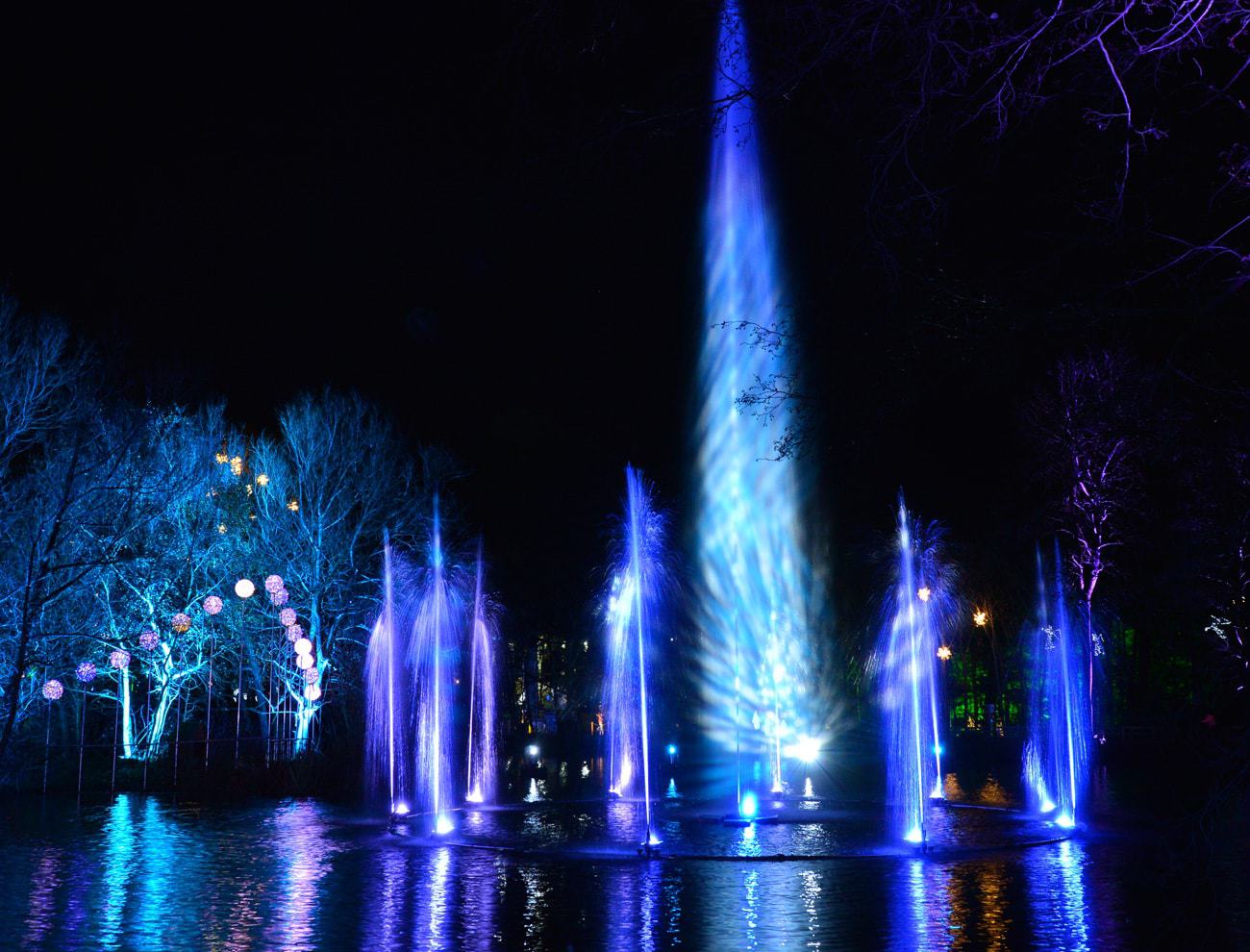 Best UK Christmas Days Out