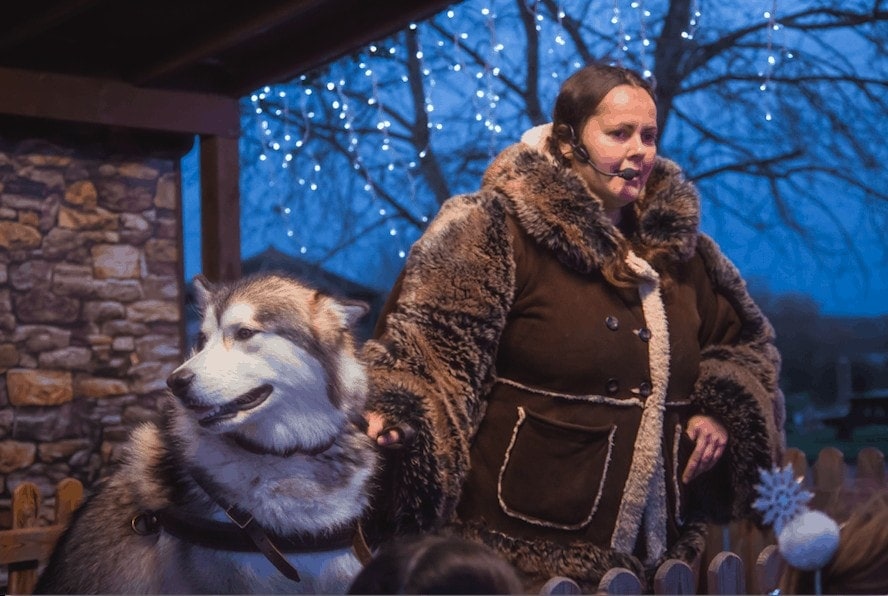 Best UK Christmas Days Out - Willows Farm