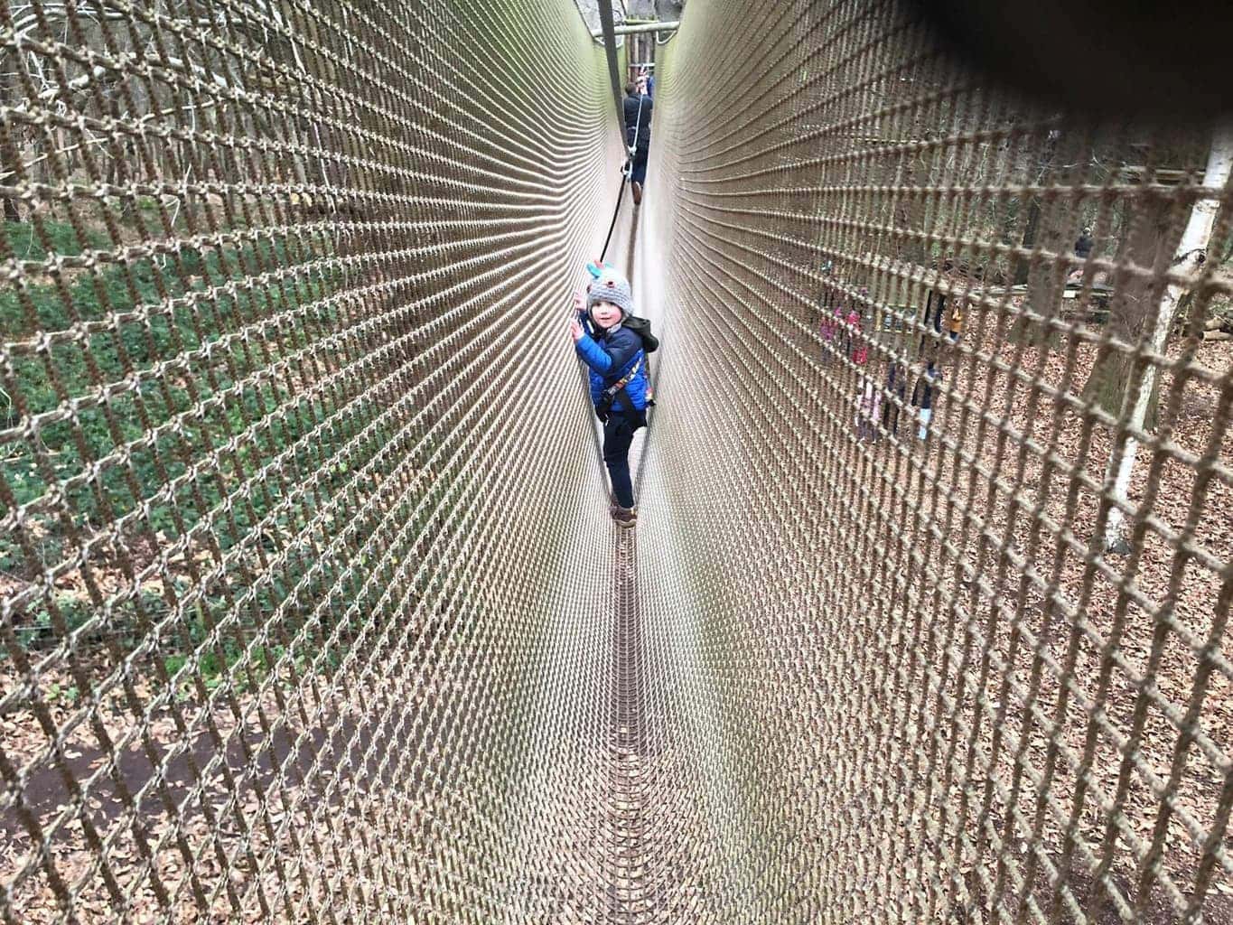 Go Ape Tree Top Junior course at Leeds Castle