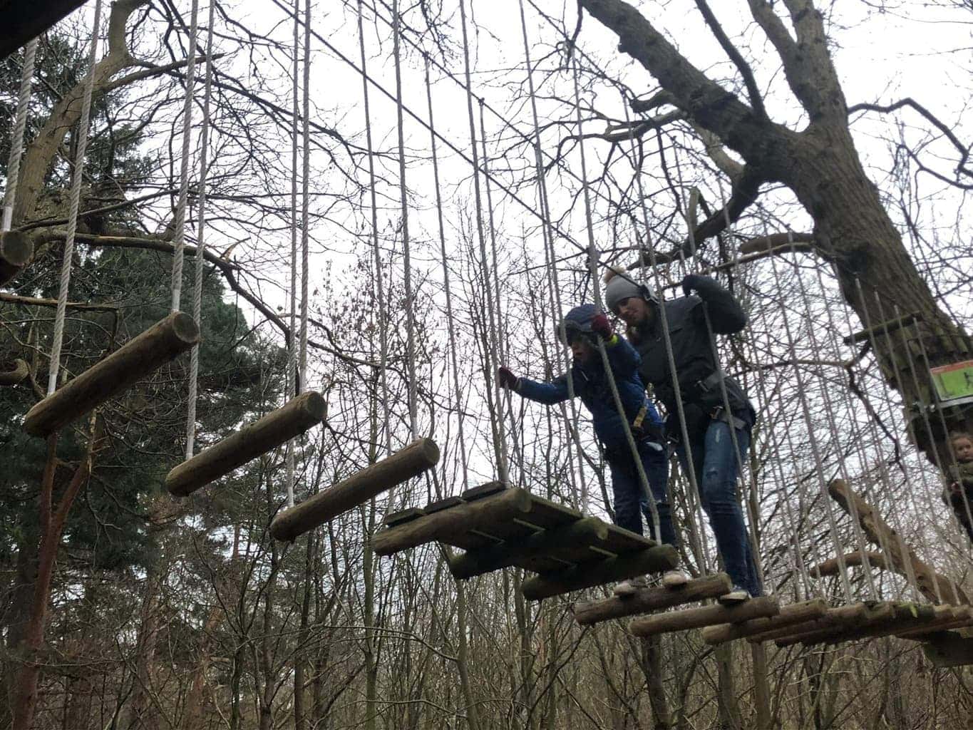 Go Ape Tree Top Junior course at Leeds Castle