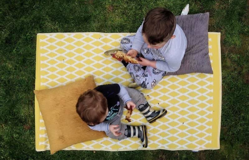 Best Picnic Mats