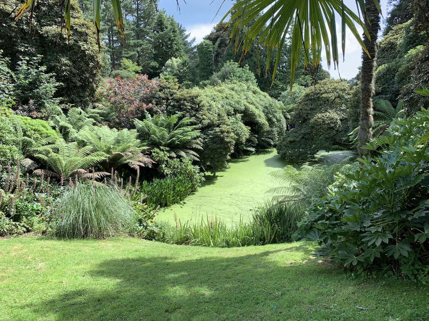 The Lost Gardens of Heligan, Cornwall