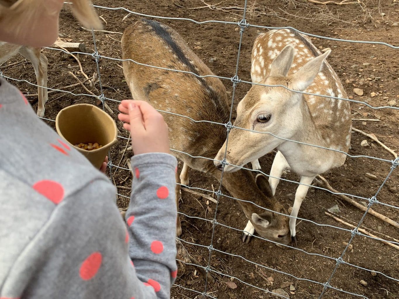 Parc Sama, Cambrills with Kids | Spain