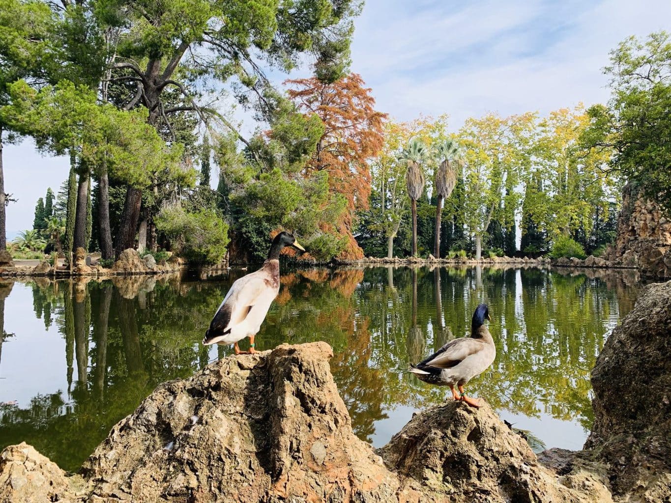 Parc Sama, Cambrills with Kids | Spain