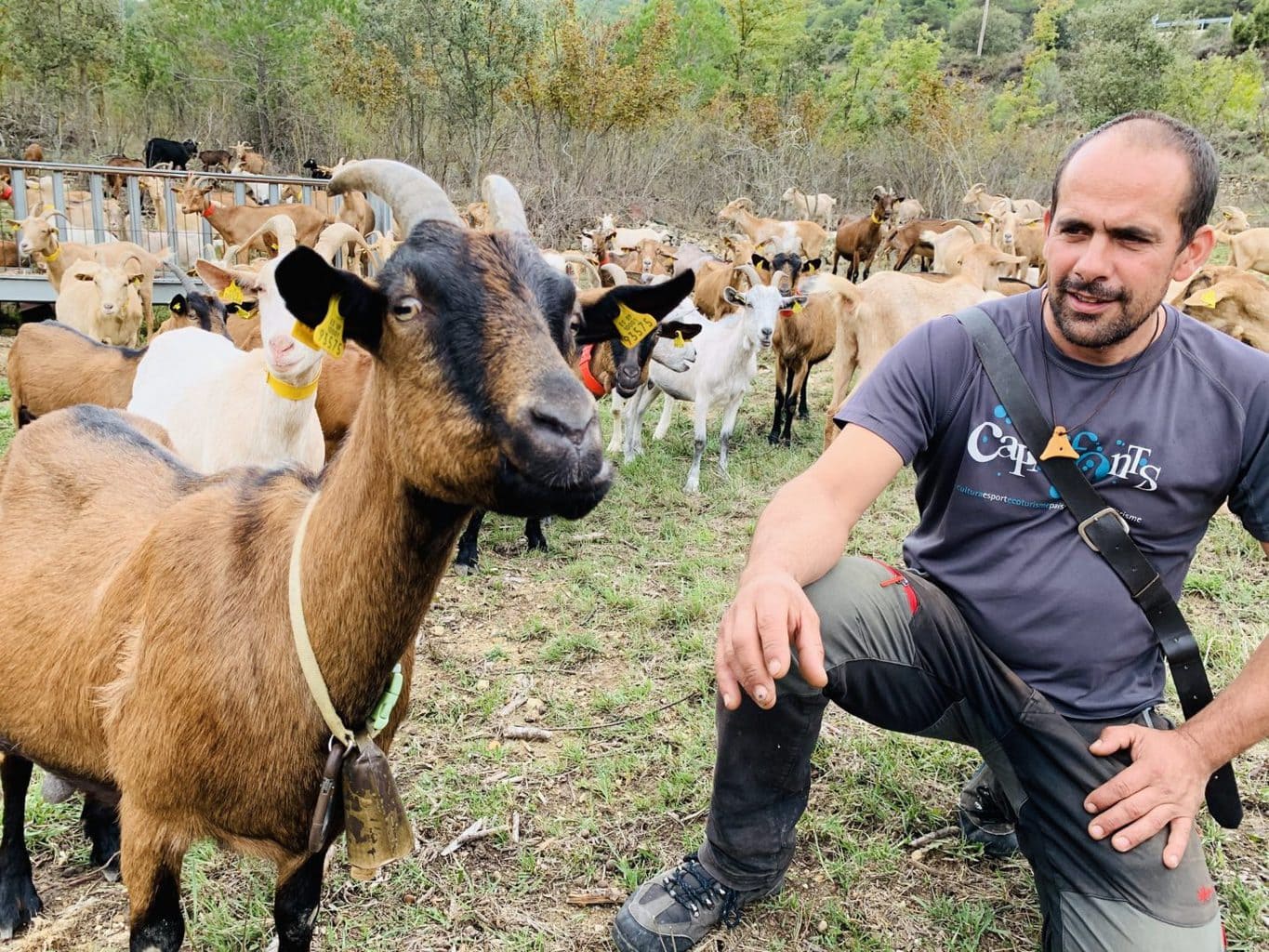 Learning to be a Shepherd in Catalonia | Goat Herding with Kids