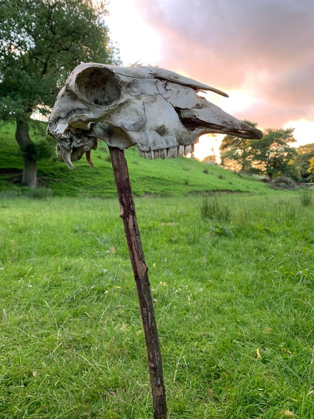 Review Higher Kinderfields Farm | Peak District Camping