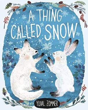 A Thing Called Snow by Yuval Zommer (Oxford University Press)