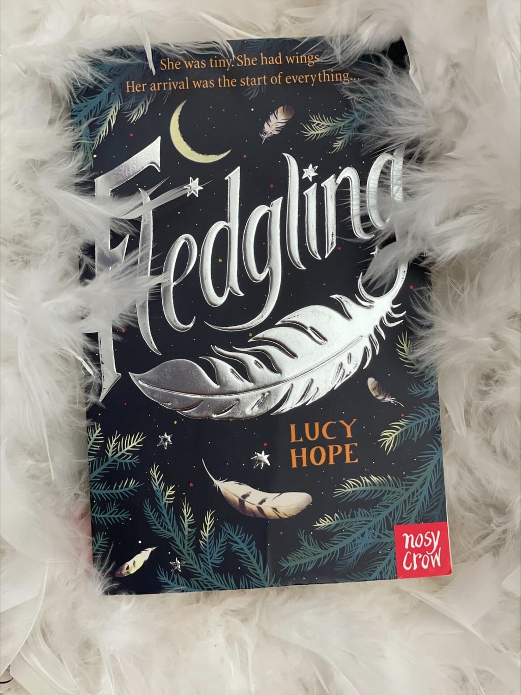 Fledgling – Lucy Hope (author), Nosy Crow (publisher), recommended reading age: 9 plus