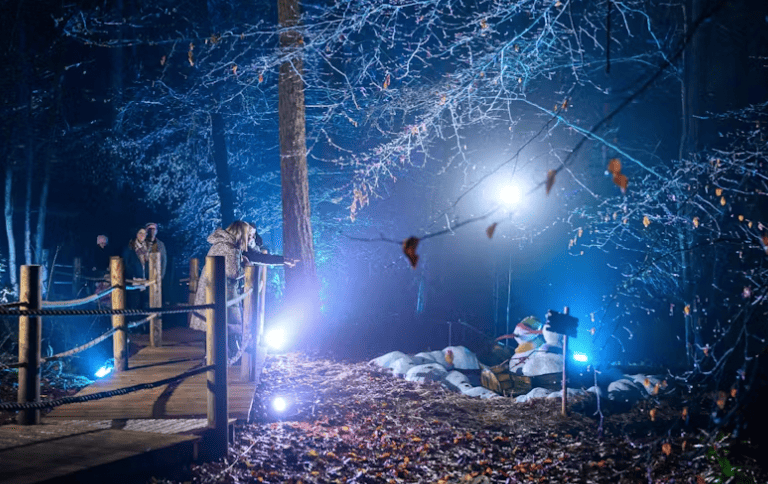 Bewilderwood Cheshire Christmas lights