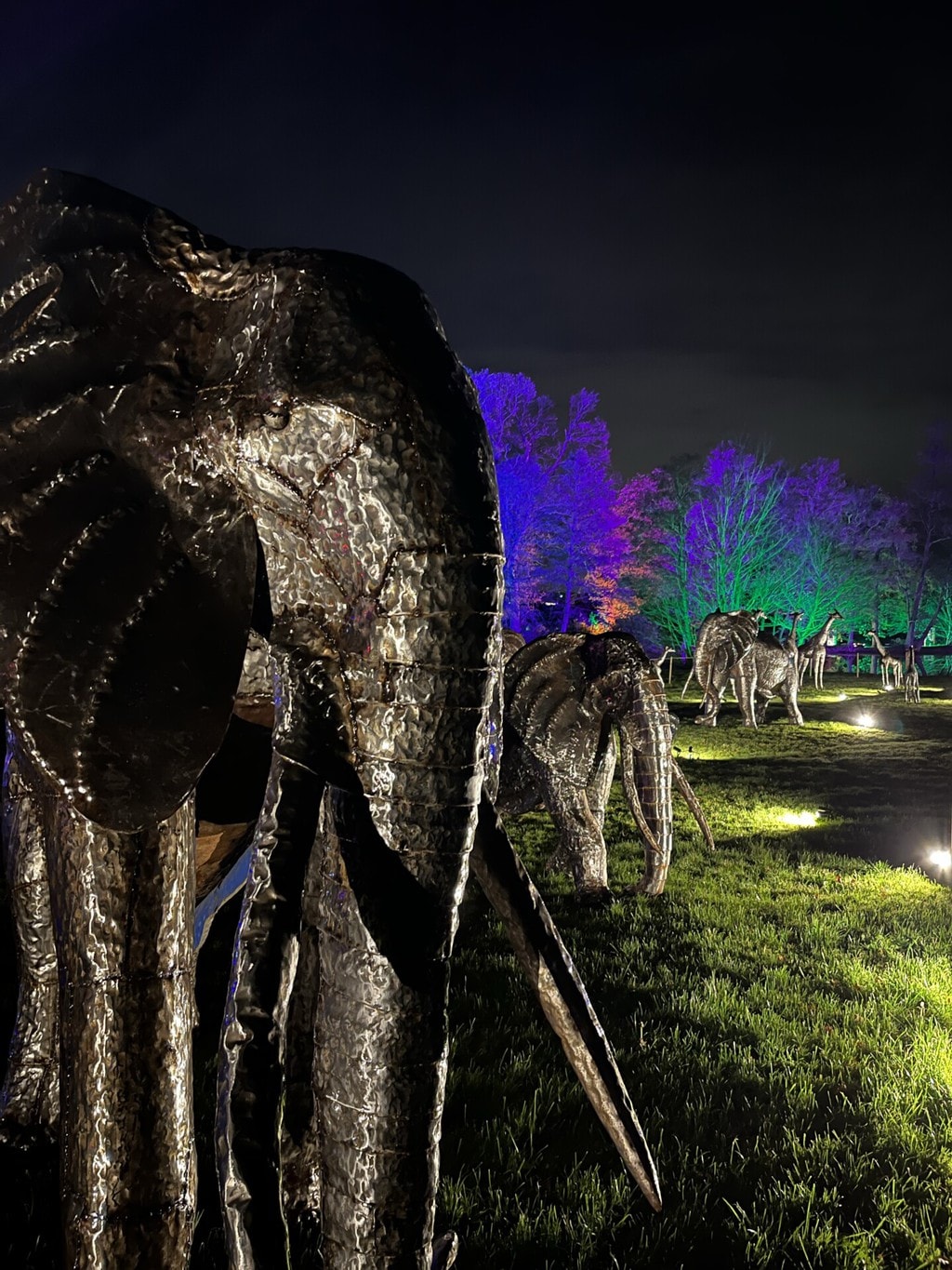 Top Tips Christmas Lights Trail at Bolesworth |Review