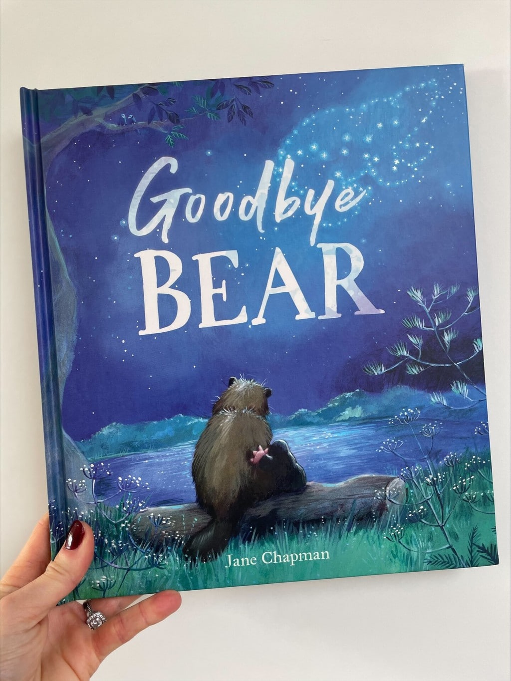 dbye Bear
