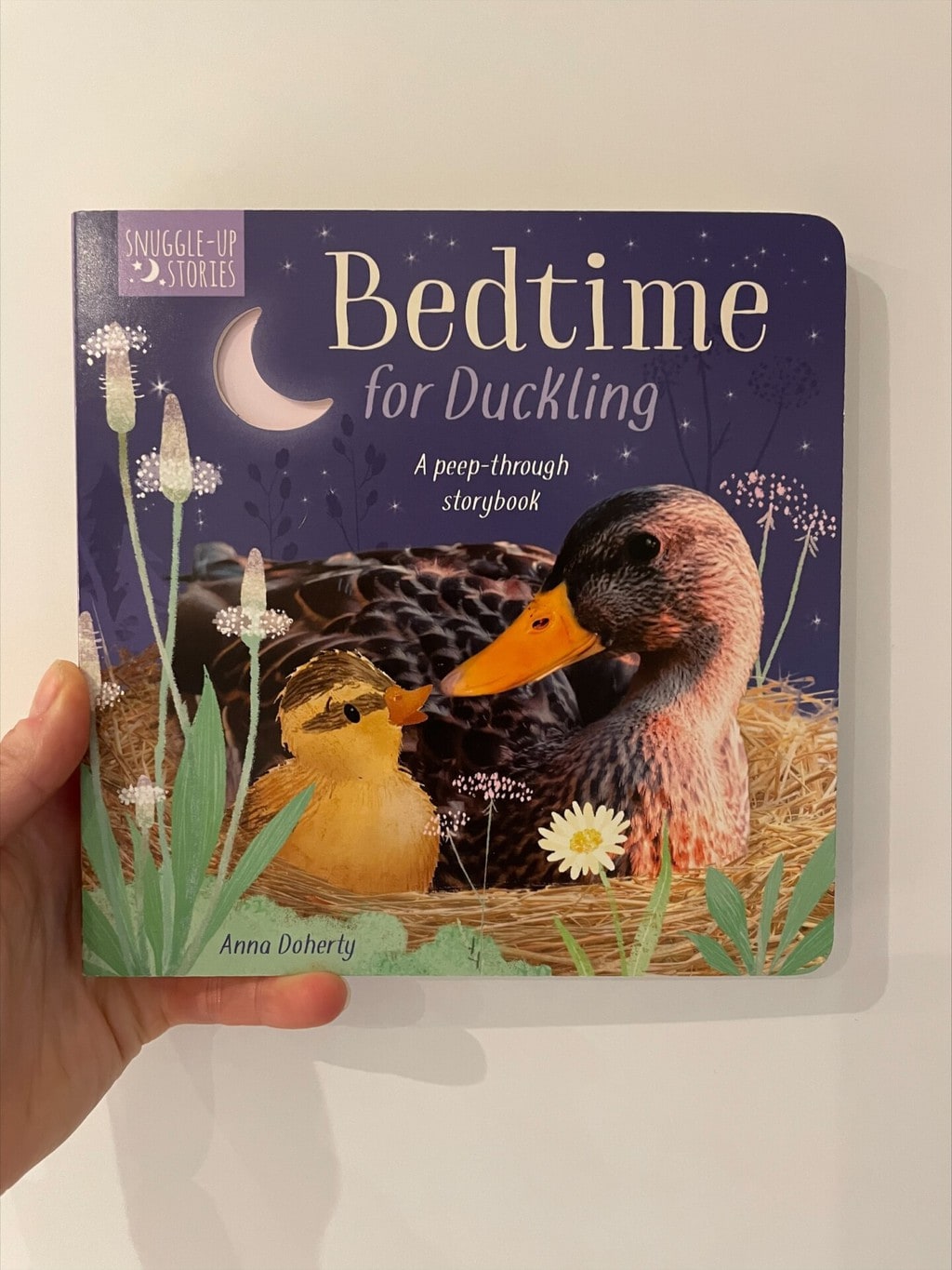 Bedtime for Duckling