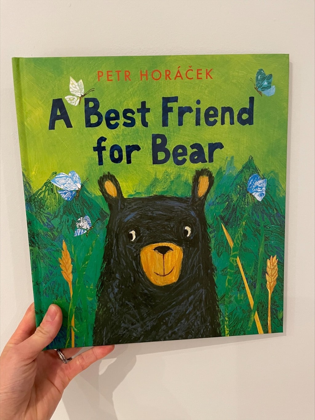 A Best Friend for Bear