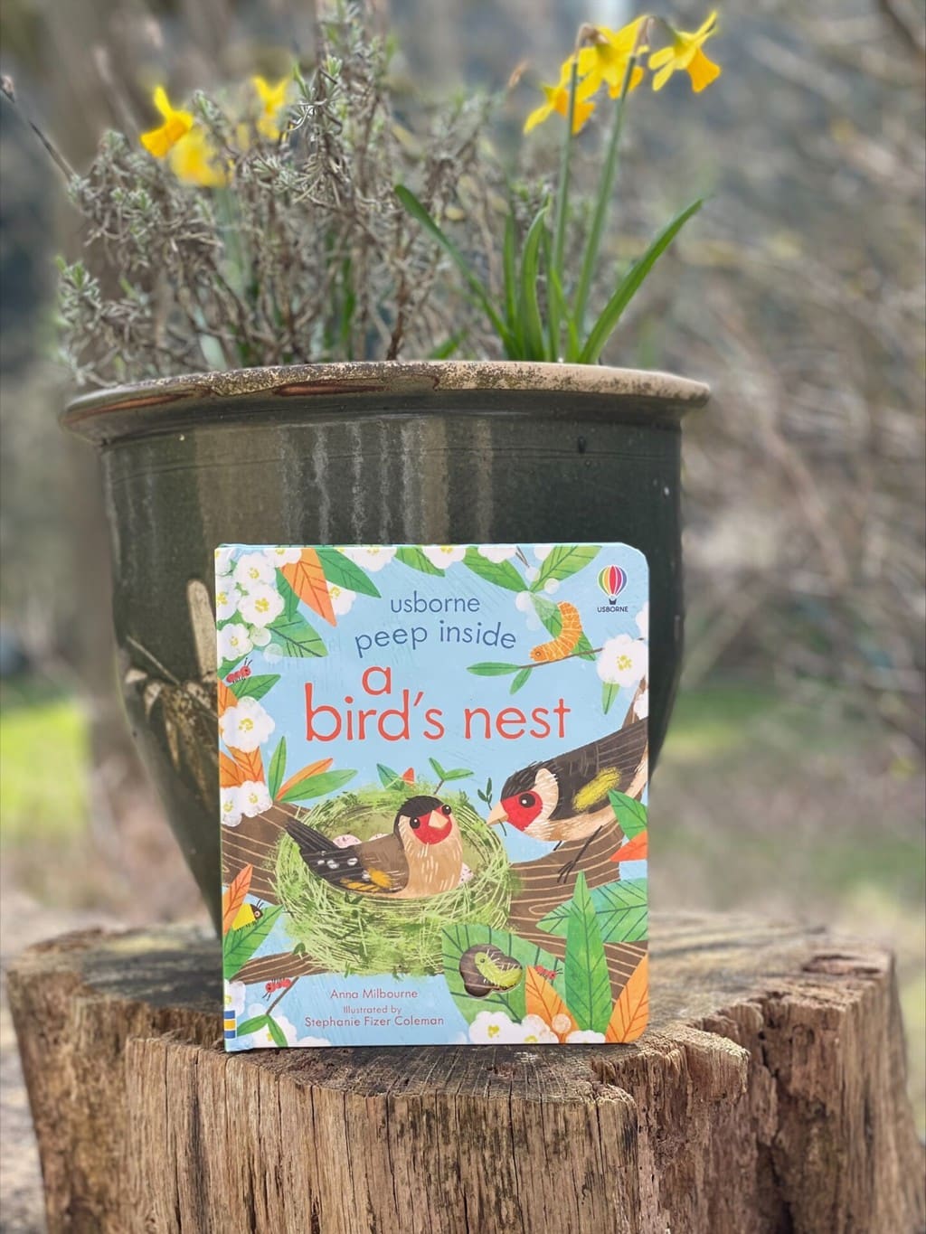 Peep Inside a Bird’s Nest – Anna Milbourne
