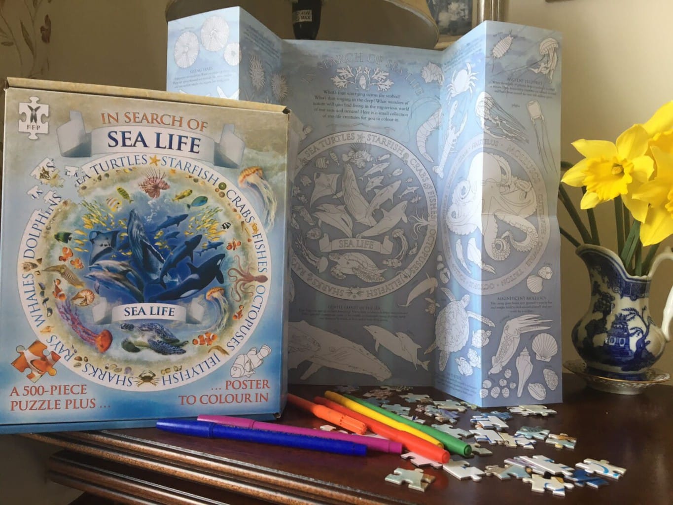 In Search of Sea Life – Caz Buckingham