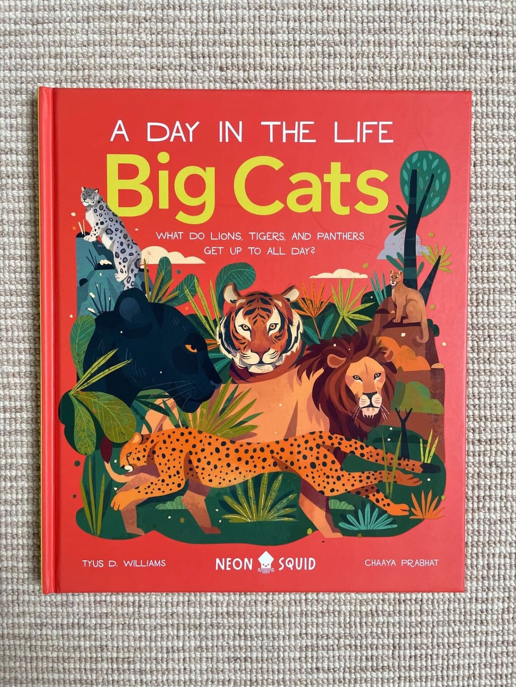 Day in the Life: Big Cats