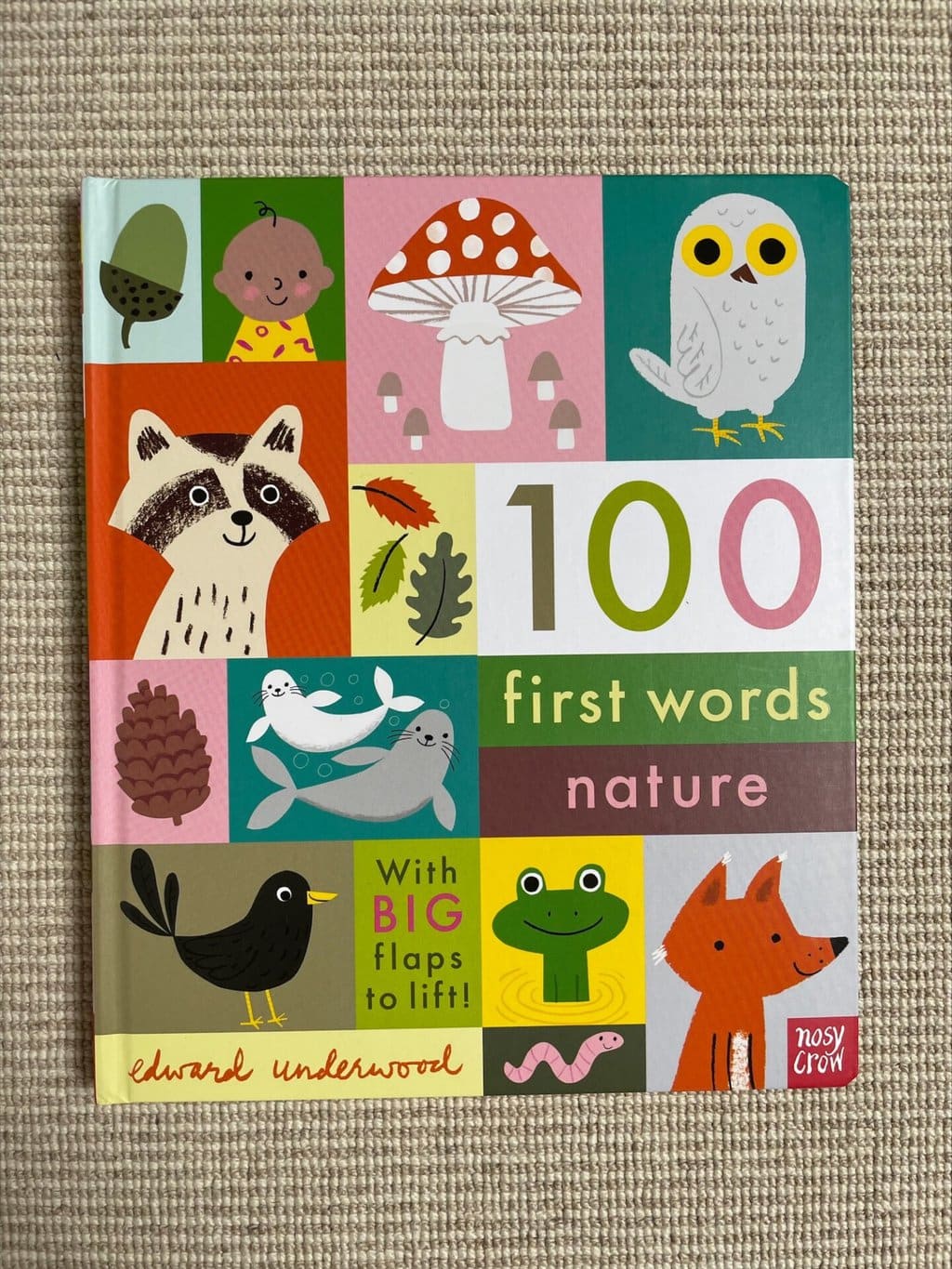 100 First Words Nature