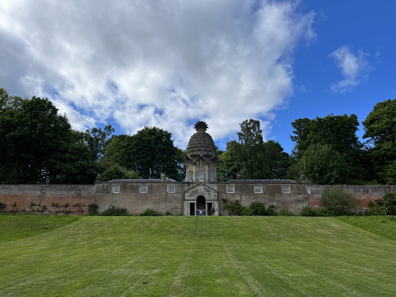 Dunmore Pineapple