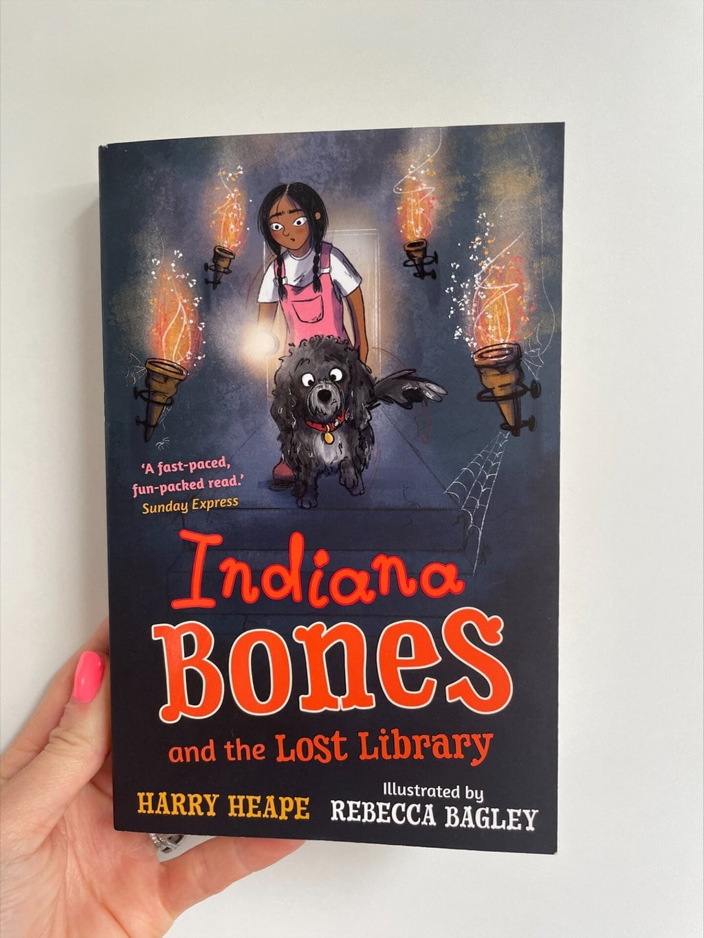 Indiana Bones and the Lost Library – Harry Heape (author), Rebecca Bagley (illustrator), Faber and Faber Limited (publisher)