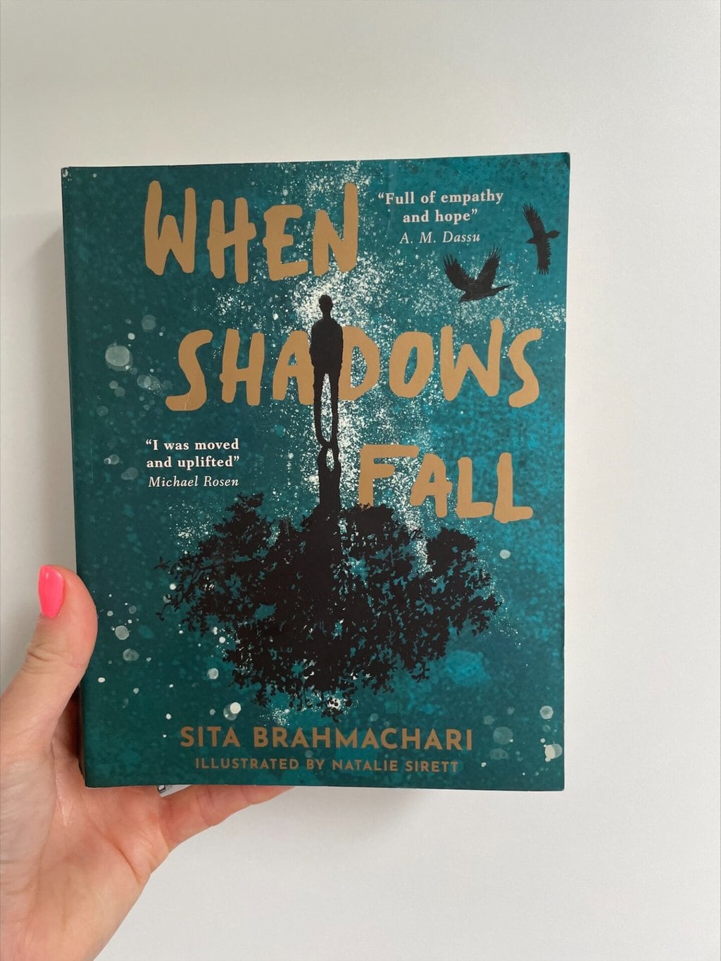 When Shadows Fall – Sita Brahmachari (author), Natalie Sirett (illustrator), Stripes Publishing Limited (imprint of Little Tiger) (publisher)