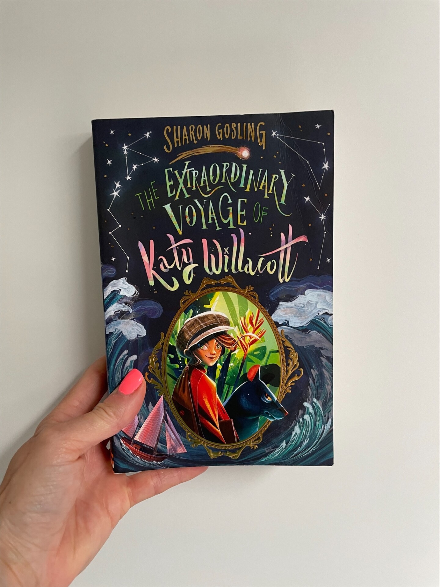 The Extradordinary Voyage of Katy Willacott
