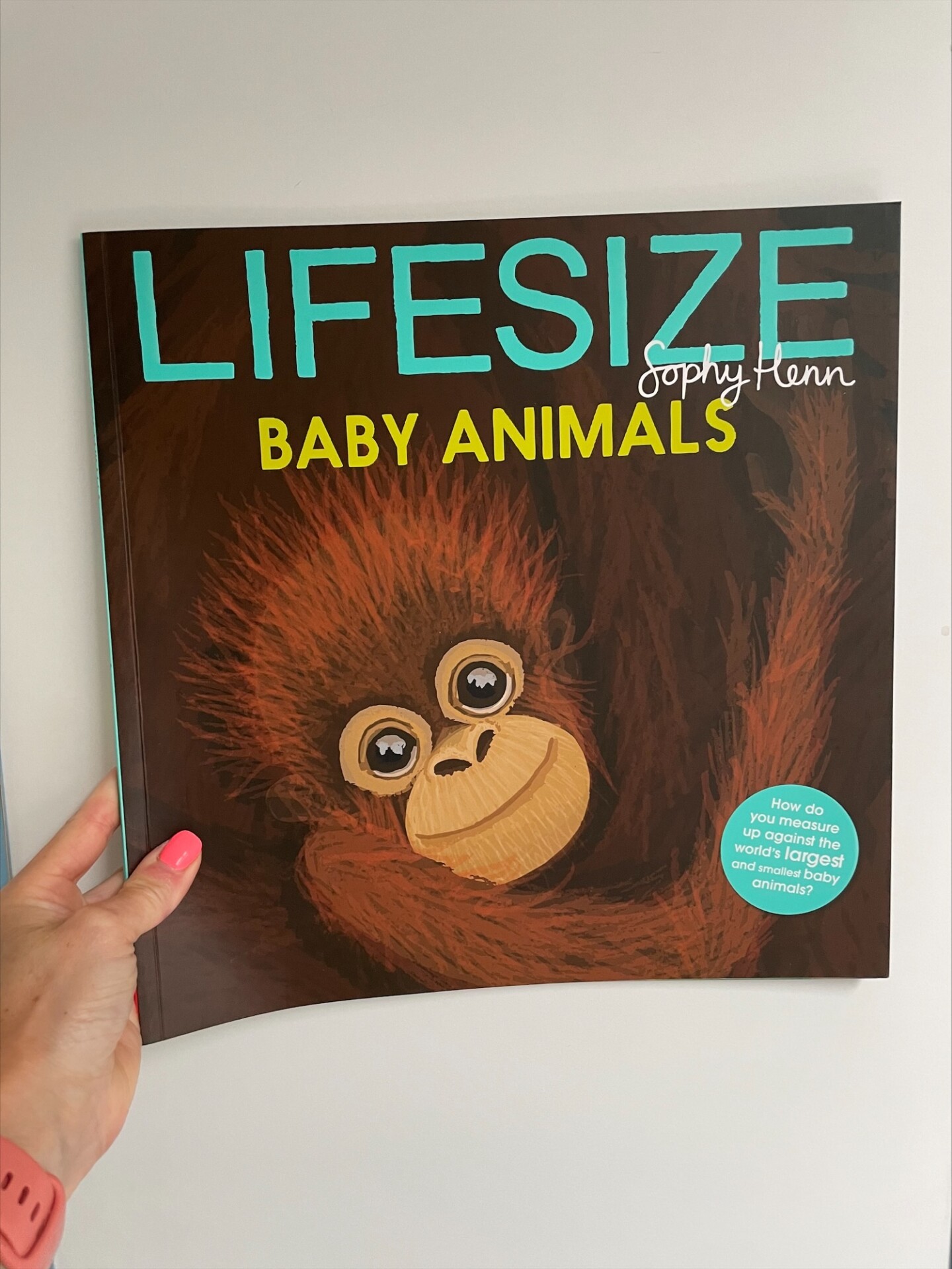 Lifesize Baby Animals
