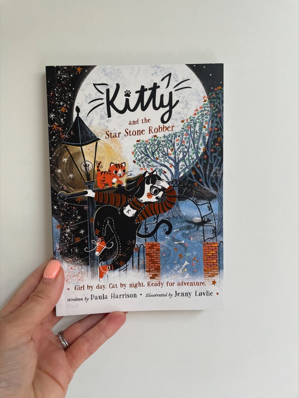 Kitty and the Star Stone Robber
