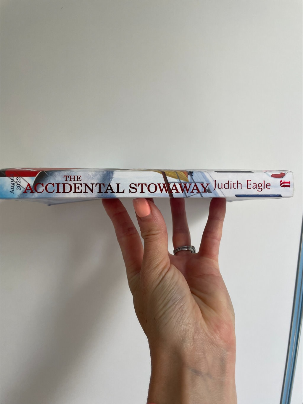 The Accidental Stowaway